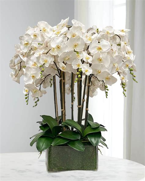 Winward Home Orchid In Glass Planter Neiman Marcus