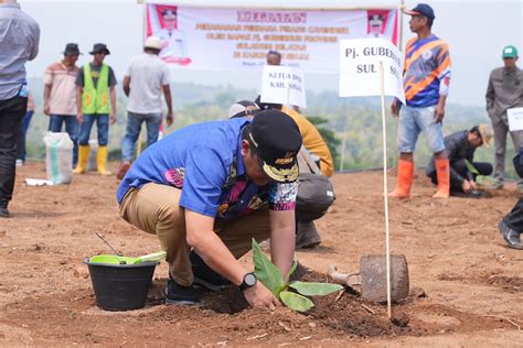 Pj Gubernur Sulsel Tanam Pisang Di Lahan 20 Hektare Di Sinjai Newsurban