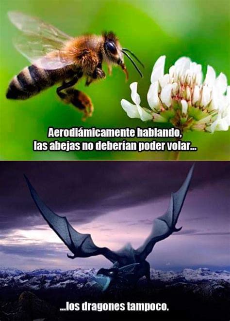 Top Memes De Abejas En Espa Ol Memedroid