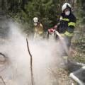 Hfw Bad Ischl Fischaufseher Bemerkt Brand In Hinterstein