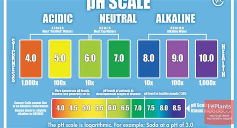 Уровень pH в биопонных растворах - "Цветоводство" :: читать на сайте ...