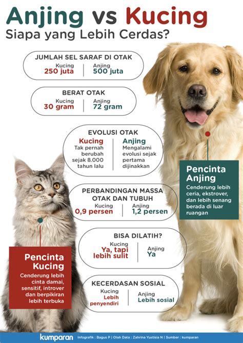 Infografik Parameter Untuk Membandingkan Kecerdasan Anjing Dan Kucing