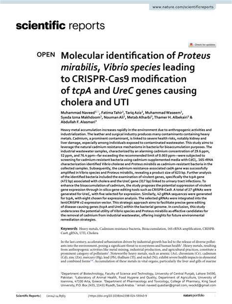 PDF Molecular Identification Of Proteus Mirabilis Vibrio Species