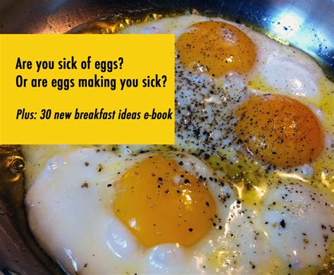 My Eggcellent Egg Elimination Results and Book Review | Grass Fed Girl