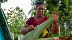 Gobierno Nacional invertirá 68 mil millones en proyectos para mujeres