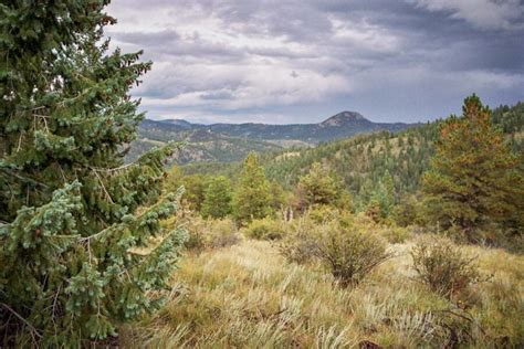 5 Awesome Hikes in the Lost Creek Wilderness, Colorado - Territory Supply