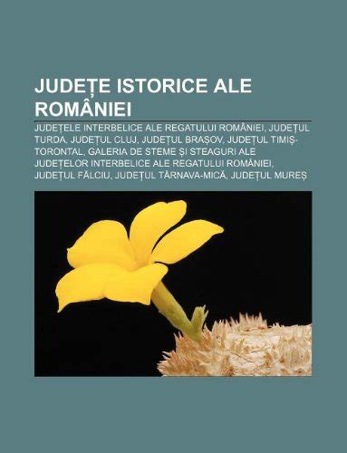 Amazon Co Jp Jude E Istorice Ale Romaniei Jude Ele Interbelice Ale