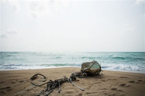 Gratis Afbeeldingen Strand Zee Kust Zand Rots Oceaan Zonlicht