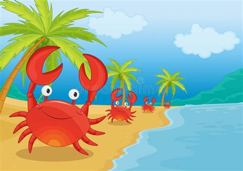 Two Crabs Stock Vector Illustration Of Shells Shell