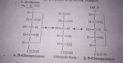 Fischer projection of glucose