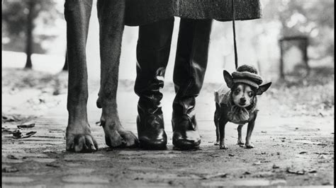 Muere el fotógrafo estadounidense Elliott Erwitt a los 95 años