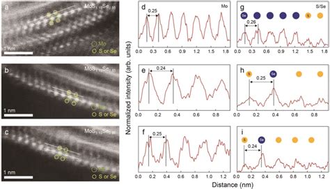 Atomic Arrangements Of The D Tmd Alloys Ac Atomicresolution