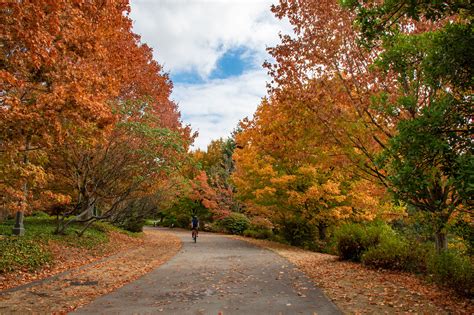 Your Guide To Fall In Seattle