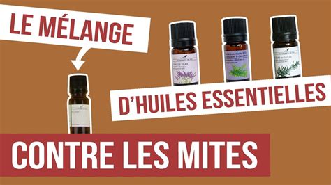 [diy] Anti Mites Fabriquer Son Remède Naturel Aux Huiles Essentielles