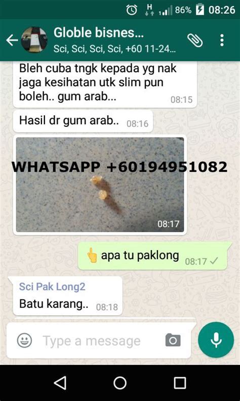 Serbuk Al Manna Gum Arabic Premium Cara Cegah Penyakit Batu Karang