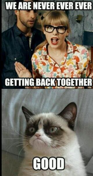 Taylor Swift Good Cat Meme By Cooperb Memedroid