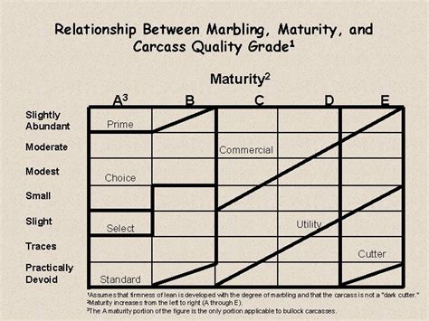 Beef Quality And Yield Grades Grading Vs Inspection