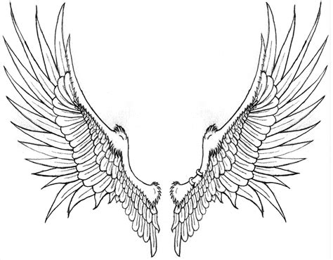 Wings Drawing - Learn How to Draw Wings Step by Step