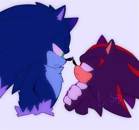 Sonic The Werehog And Shadow The Hedgehog By Kamidrop On Deviantart