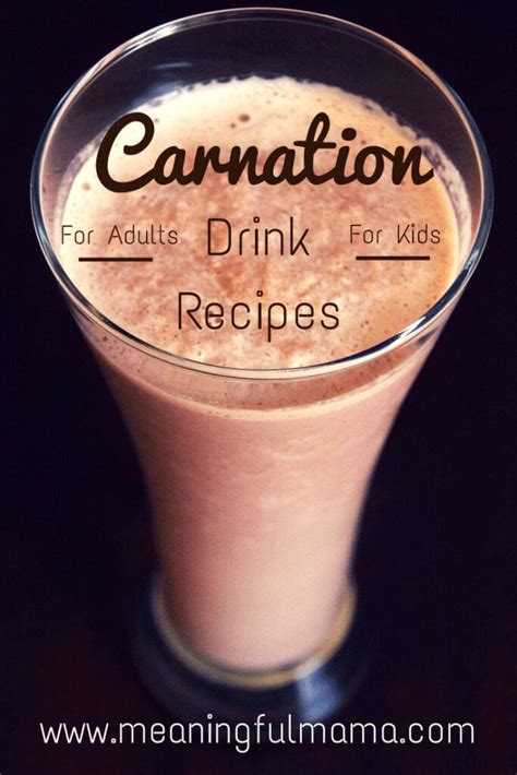 Carnation Breakfast Smoothie Recipes