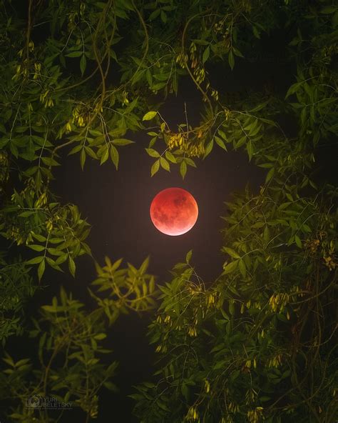 Amazing Photos Of The Super Blood Wolf Moon Of Space