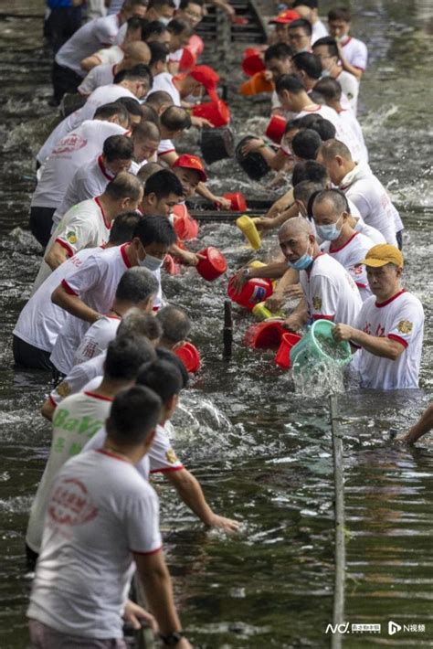 端午到：泮塘龙舟起水，“五月五·龙船鼓”活动在荔湾举行腾讯新闻