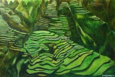 Zoom View Of The Banaue Rice Terraces Tagalog Hagdan Hagdang Palayan