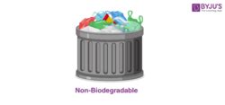 Biodegradable And Non-Biodegradable - Definition & Examples of ...