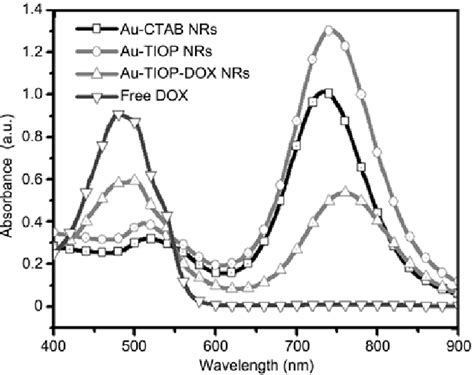 Uv Vis Absorption Spectra Of Au Ctab Nrs Au Tiop Nrs Au Tiop Dox Nrs