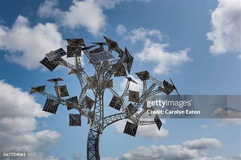 2,935 Metal Tree Sculpture Stock Photos, High-Res Pictures, and Images ...