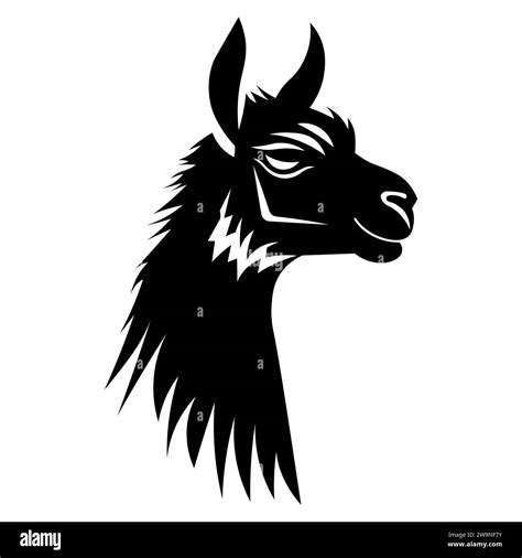 Black Llama Black And White Stock Photos And Images Alamy