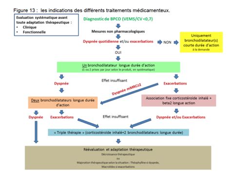 Bpco Et Asthme Formation M Dicale Continue Tourcoing