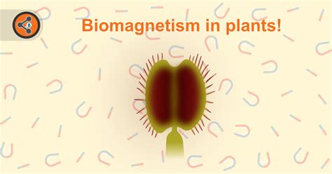 Biomagnetism in plants! - Sharebiology