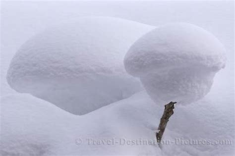 Snow Formation