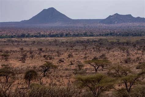 Days Nairobi Samburu Aberdare Nakuru Mara Luxury Safari