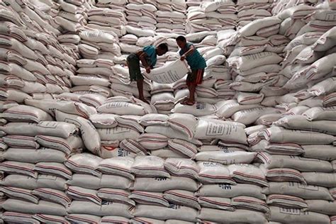 Philippines To Import More Rice Next Year