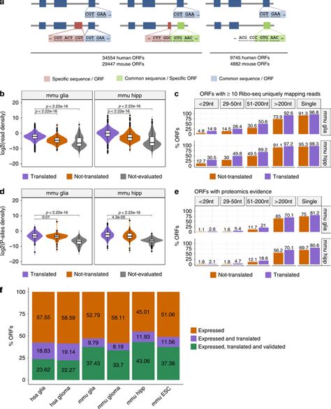 Validation With Isoform Specific Regions A Isoform Specific Sequence