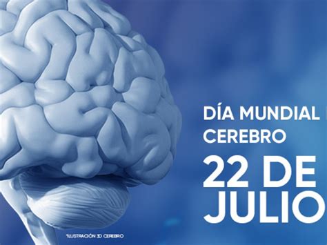 Se Conmemora Hoy El D A Mundial Del Cerebro