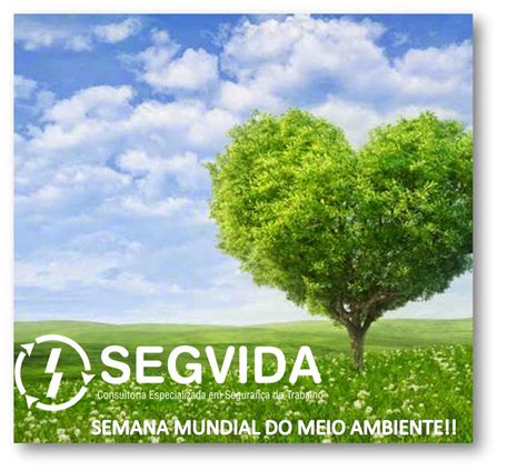 10 Dicas Importantes Para Preservar O Meio Ambiente • Segvida