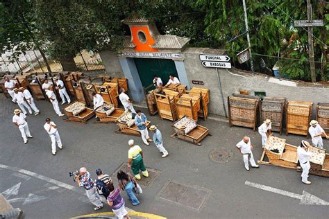 How to ride in toboggan wooden sledge down asphalt road on Madeira