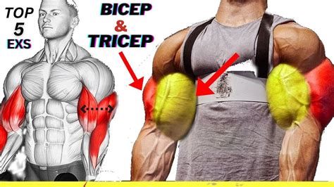 5 Most Effective Tricep And Bicep Workout For Bigger Arms Youtube