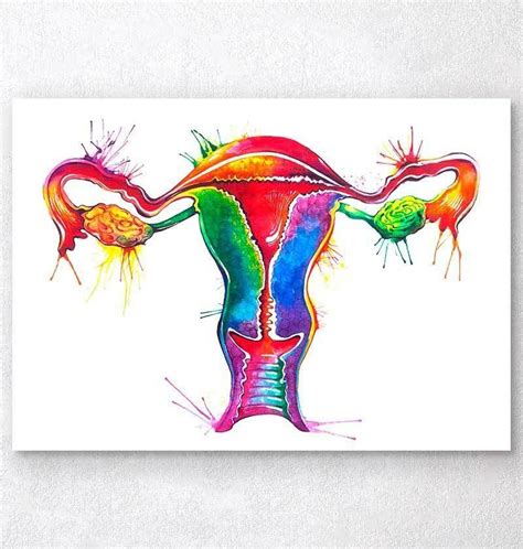 Beautiful Watercolor Uterus Art Print Perfect T For Doctors And