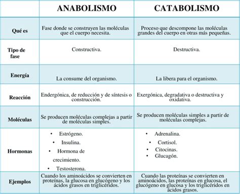 Cuadros Comparativos Anabolismo Y Catabolismo Descargar