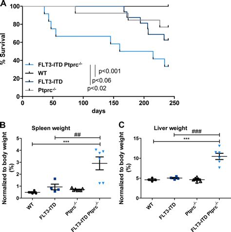 FLT3 ITD Mice Inactivated For Ptprc Show A Shortened Life Span And