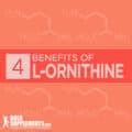 L-Ornithine: Benefits, Side Effects & Dosage