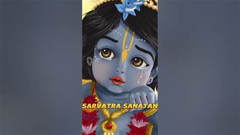 Krishn Ko Hu Tatv Vrishbhan Ki Kishori Hai 🕉️🙏🏻sarvatra Sanatan Yt Shorts Viral