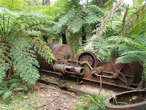 Starlings Gap Campground Big Creek Rd Ada Vic 3833 Australia