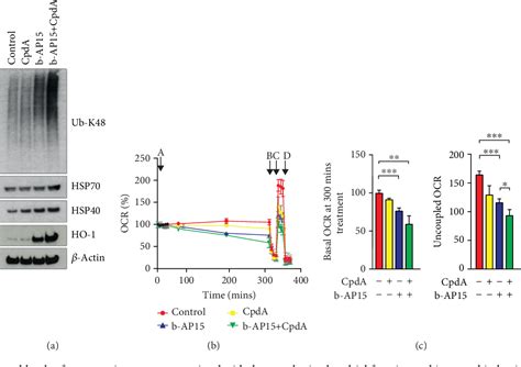 Figure From Oxidative Stress Induced By The Deubiquitinase Inhibitor