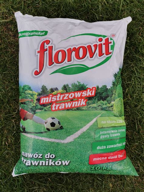 Jaki Naw Z Do Trawnika Dlaczego Florovit Mistrzowski Trawnik To