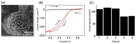 Catalysts Free Full Text From Enzyme Stability To Enzymatic